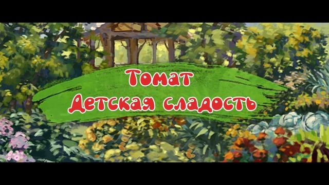 ЛУЧШИЕ ТОМАТЫ для консервирования и пасты, томат Гаспачо и Детская Сладость.