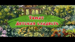 ЛУЧШИЕ ТОМАТЫ для консервирования и пасты, томат Гаспачо и Детская Сладость.
