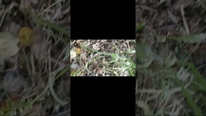 lv_0_20240814143318.mp4