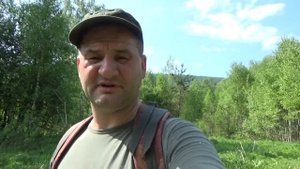 ПРИВАДА НА МЕДВЕДЯ