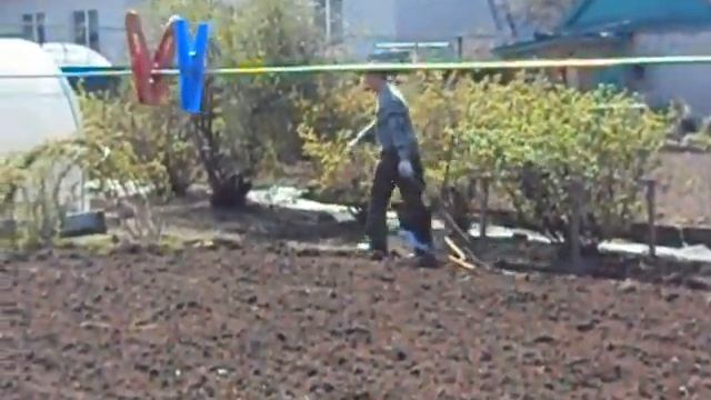 Вспашка огорода мотолебедкой.