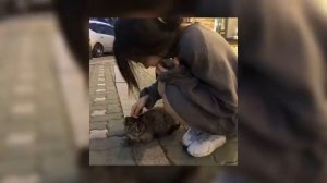 Miyagi "люби меня" песня для танцев,уборки