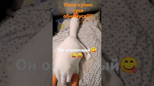 Гусь обнимусь