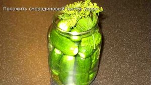 Огурцы соленые на зиму