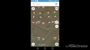 Как заняться разведением овец с нуля. Часть 1.