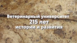 ИСТОРИЯ В ЛИЦАХ: «ВЕТЕРИНАРНЫЙ УНИВЕРСИТЕТ. 215 ЛЕТ ИСТОРИИ И РАЗВИТИЯ», 2024 г.