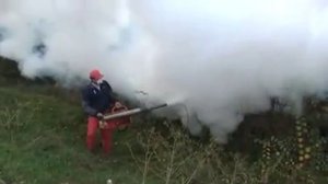 Обработка деревьев генератором горячего тумана