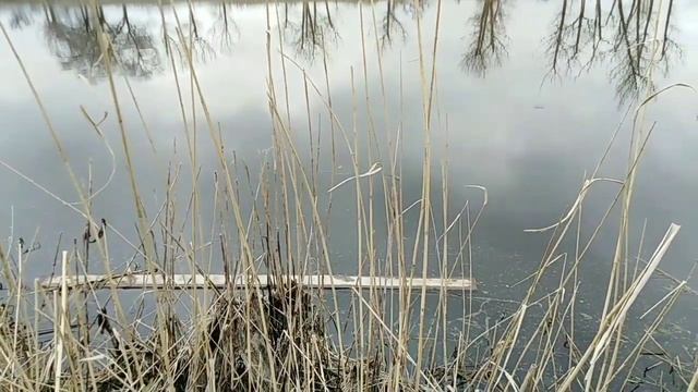 Крутая рыбалка на Тузловке. смотреть онлайн