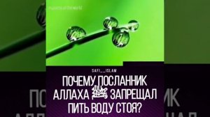 Почему нельзя пить воду стоя