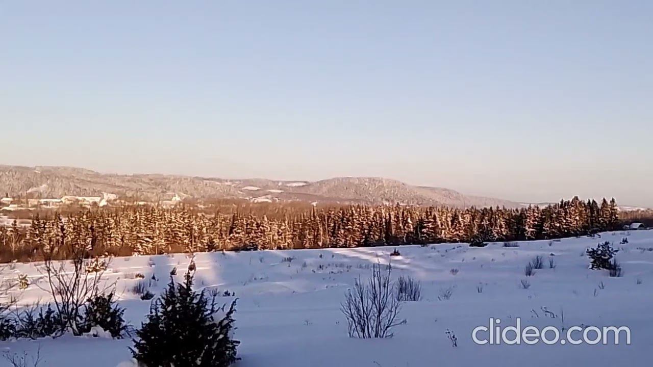 Мои охотничьи угодья. смотреть онлайн