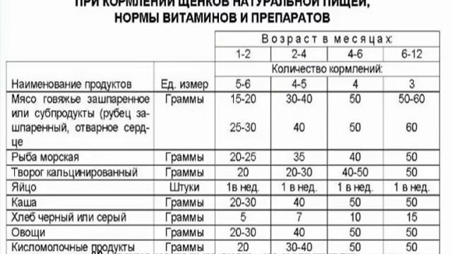 Прикорм щенков: когда можно подкармливать смотреть онлайн