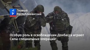 Особую роль в освобождении Донбасса играют Силы специальных операций!