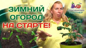 Зимний огород на старте!