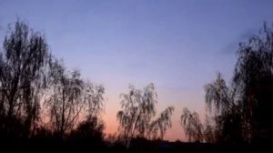Композиции на стихи Сергея Есенина ч.1, Обзор239, муз. и исп. С. Фрумовича