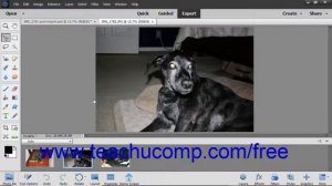 Photoshop Elements 2019 Tutorial The Expert Edit Mode Environment Adobe Training