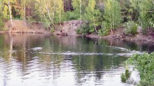 Челябинский парк Гагарина. Каменный карьер. Купание на закате. 22.05.2021г