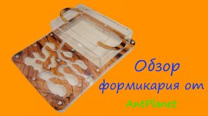 Обзор муравьиной фермы от antplanet