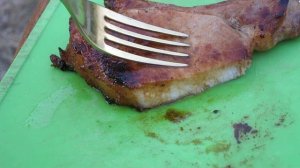 Садж на Мангале Мясо с Овощами на Сковороде!!! Сковорода из диска