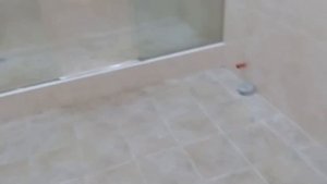 Раздвижная душевая из прозрачного стекла на заказ. Размеры 2120x2000 мм