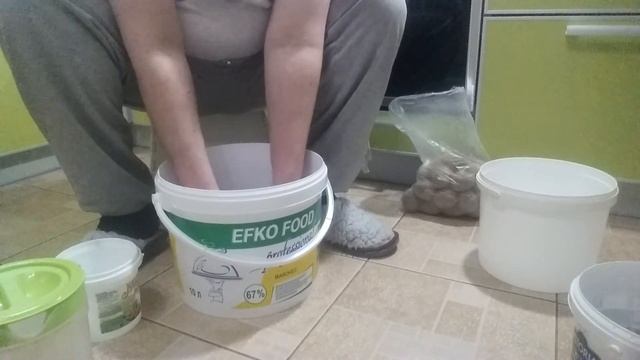 ЯРОВИЗАЦИЯ КАРТОФЕЛЯ смотреть онлайн