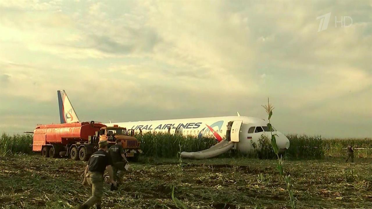 Пилоты посадили на поле. А321 сел на кукурузное поле. Экипаж кукурузном поле а321. Посадка на кукурузное поле а 321. Юсупов самолет кукурузное поле.