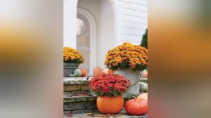 Transform Your Yard with These Fall Garden Design and Planting Tips|Fall Gardening and Plants Ideas