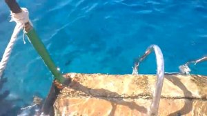 Красное море, Шарм эль Шейх, обзор отеля Sharm Plaza 5*, пантон