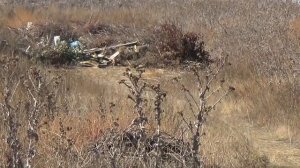 Кагальницкий район мусорная столица Ростовской области