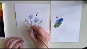 Рисуем васильки акварелью. Поэтапный рисунок. Если никого не рисовал