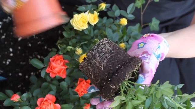 Апрельские работы на даче