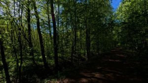 Грустная музыка из Тик Тока без слов для фона. Фоновая музыка для Стихов Цитат