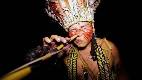 Мир наизнанку: Традиции племени Шанинауа