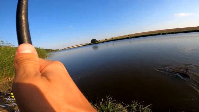 РЫБА КЛЮЁТ КАК БЕШЕНАЯ. Попали в супер клёв. Ловля амура в сказочном месте смотреть онлайн