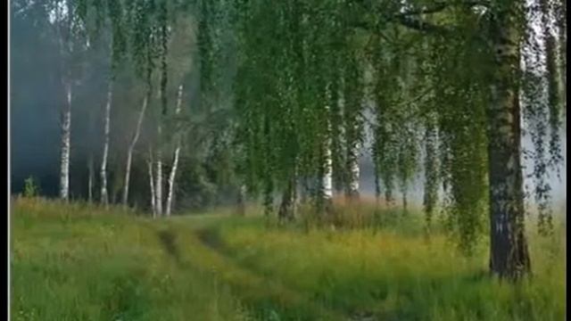 Русь белокурая! сл и муз А Заболотнов смотреть онлайн