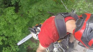 Спил березы в сложных условиях.  Как спилить макушку дерева и не повредить ничего вокруг