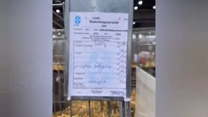 Выставка кроликов в Германии. Лейпциг 16.12.2023г.