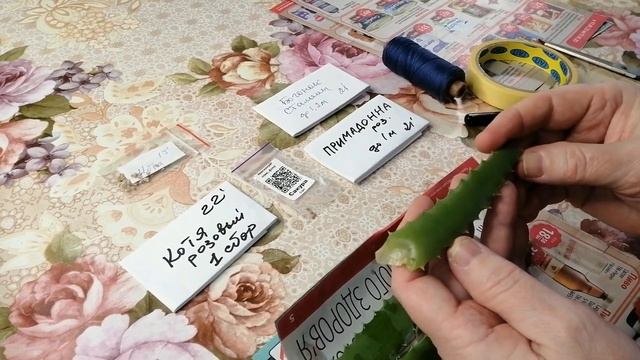 ??КАК УСКОРИТЬ ПРОРАСТАНИЕ СЕМЯН ТОМАТОВ в СОКЕ АЛОЭ смотреть онлайн