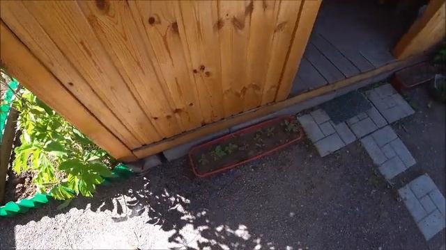 На ДАЧУ/Шашлык из СЕРДЕЧЕК/Бассейн УСТАНОВЛЕН/УДАЧНЫЕ выходные#Готовимнакостре#ДачаСадОгород