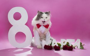 8 МАРТА - поздравление женщине!