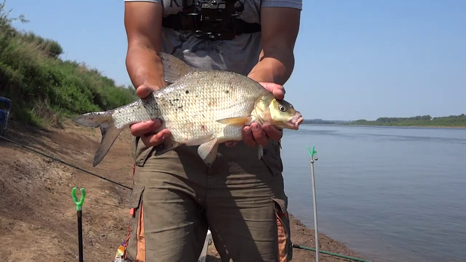 Рыбалка с Ночевкой Всей семьей ! Рыбка, шашлык и отличная погода !