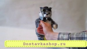 Музыкальная игрушка Танцующий Кот (6 песен)