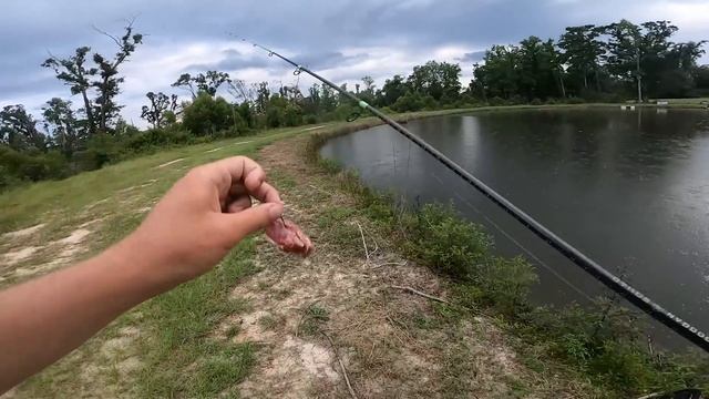 Grocery Store FOOD Fishing CHALLENGE For Biggest Fish (1v1v1v1)