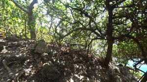 Ко Талу/Остров кроликов/Koh Talu
