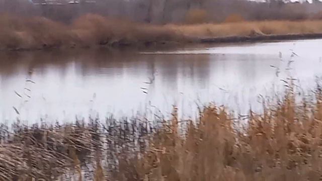 Озеро Круглое