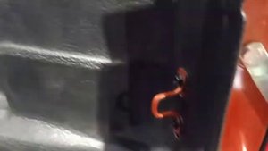 Вкладыш в кузов для Isuzu D Max