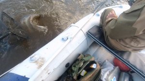 Отличный трофей малой реки