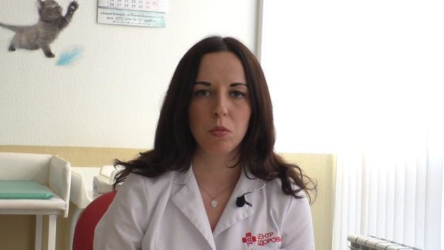 Какие анализы сдают мужчины при планировании беременности? смотреть онлайн