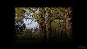 Житейское море