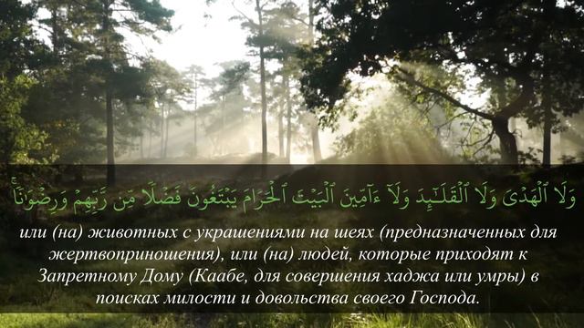Красивое чтение Корана - виды животных, разрешенные по исламу в Коране смотреть онлайн