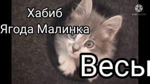 Кто ты по знаку зодиака песнями?